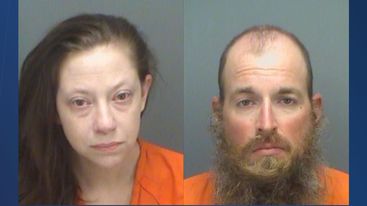 Pinellas Child abuse 