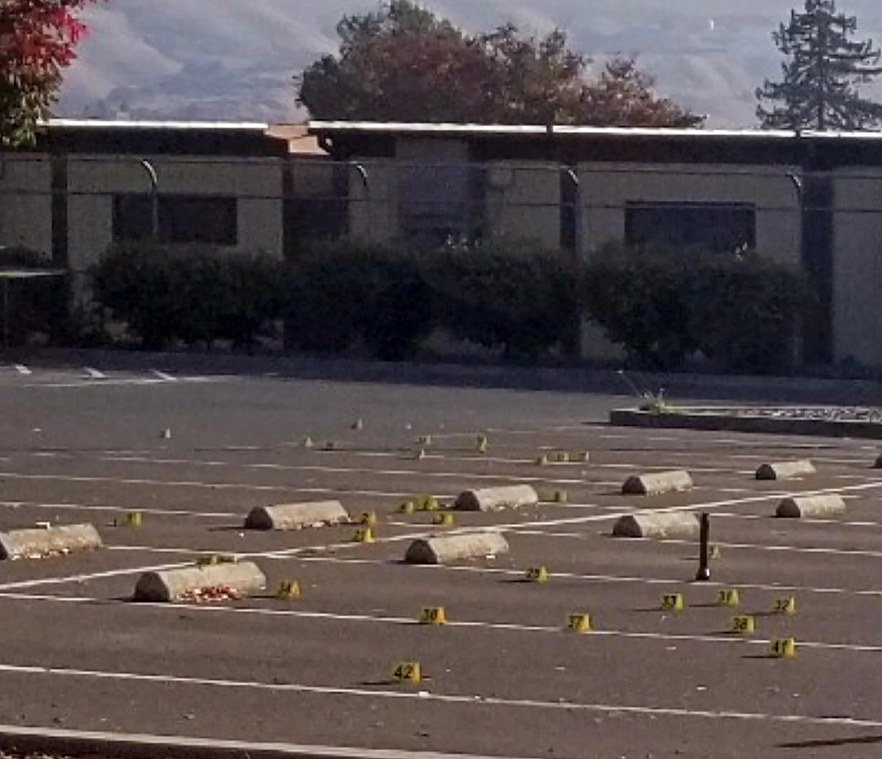 Two Children Killed 