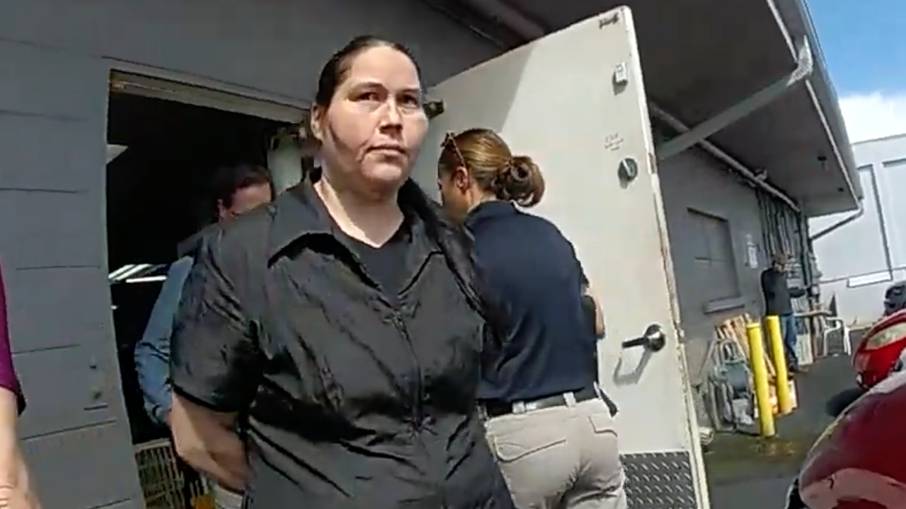 Diane Stevens arrest.png