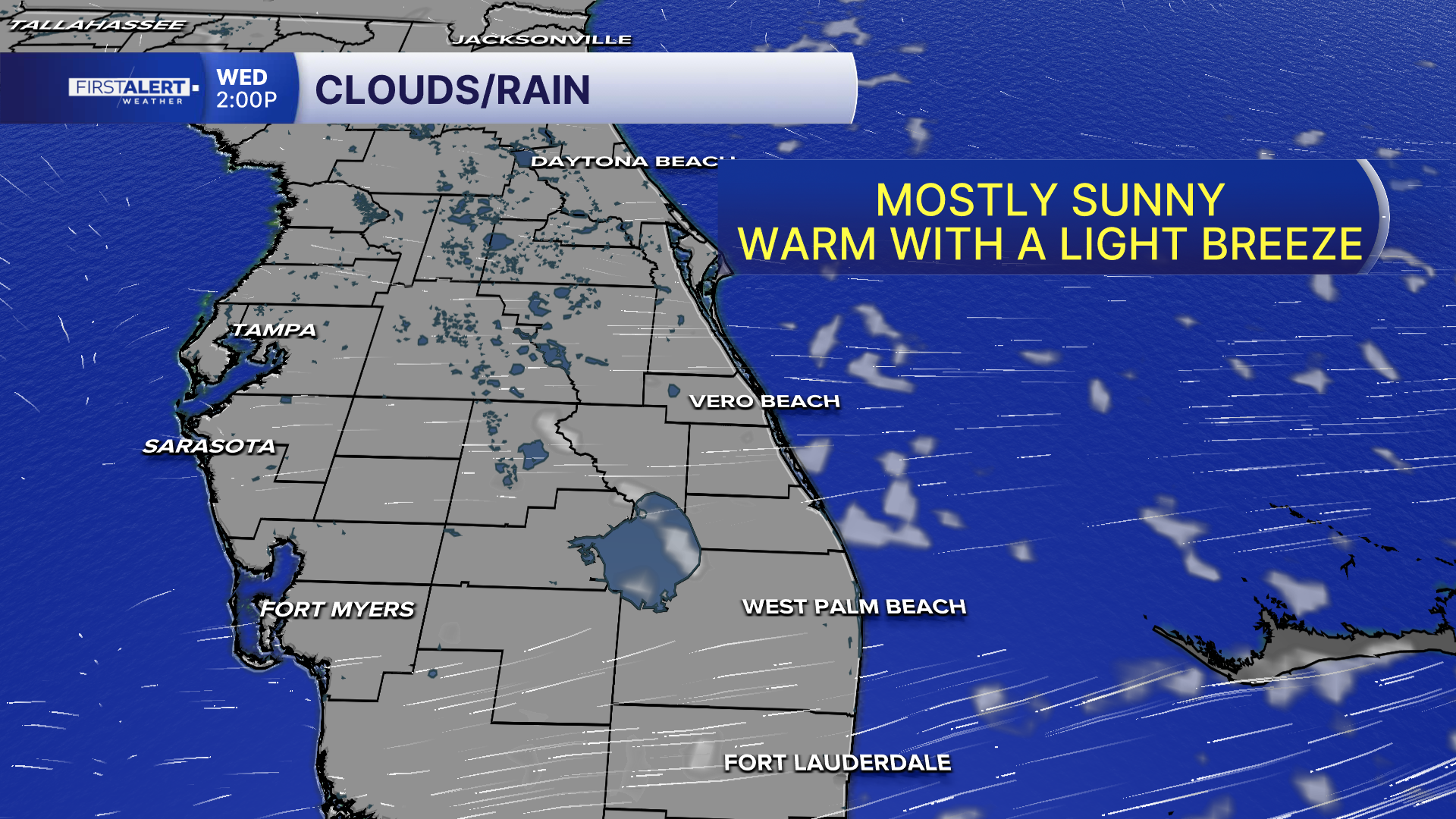 SS TOMORROW FRONTS.png