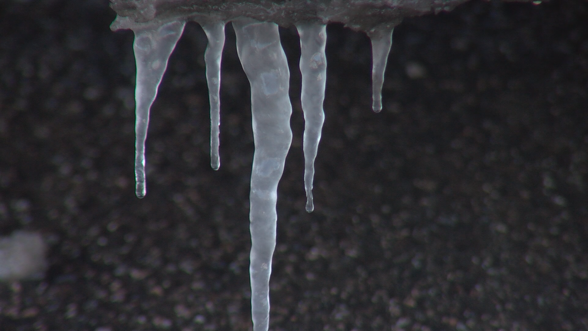 Cold weather impact in Colorado Springs