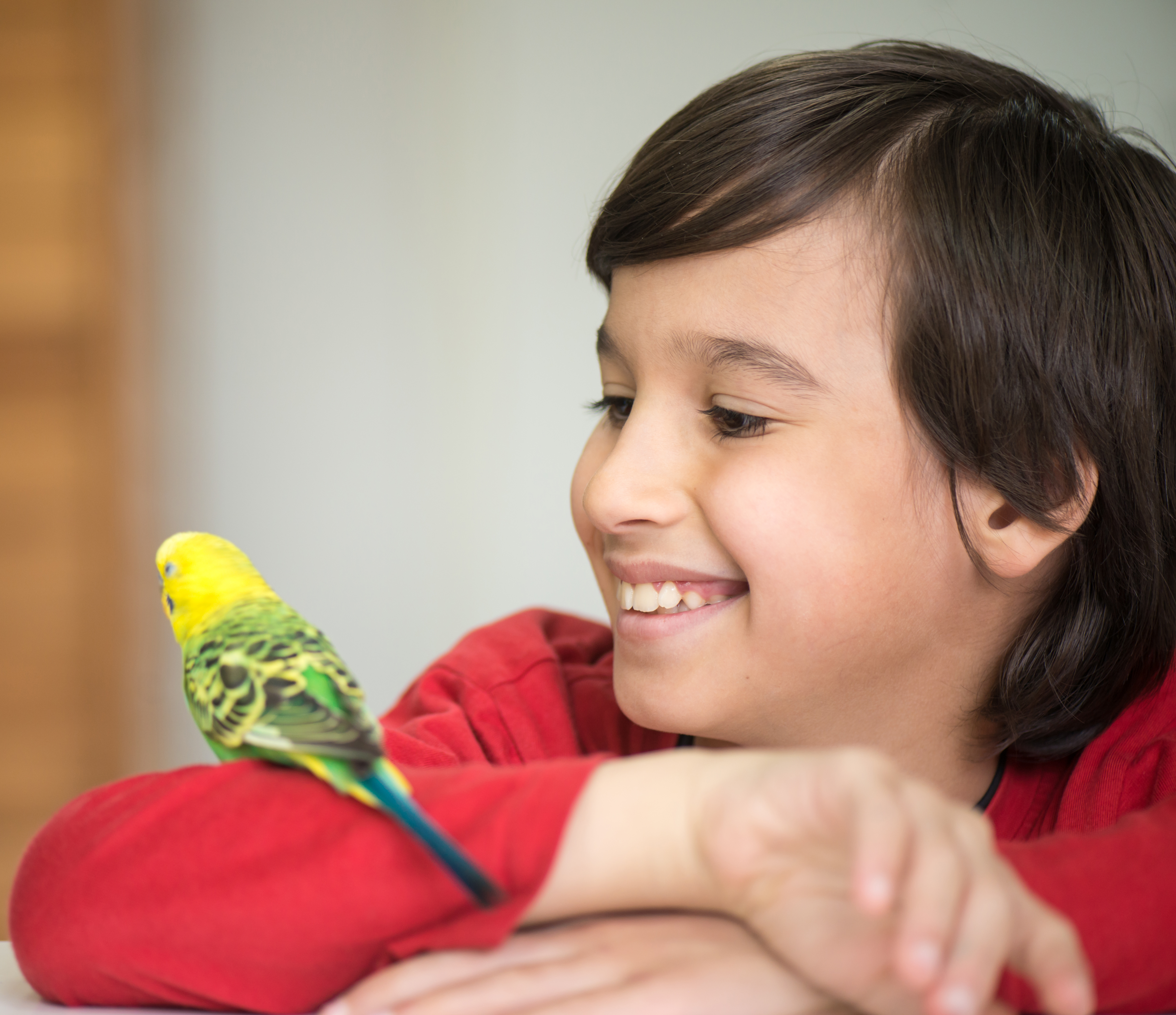 Kid playing with his pet parrot