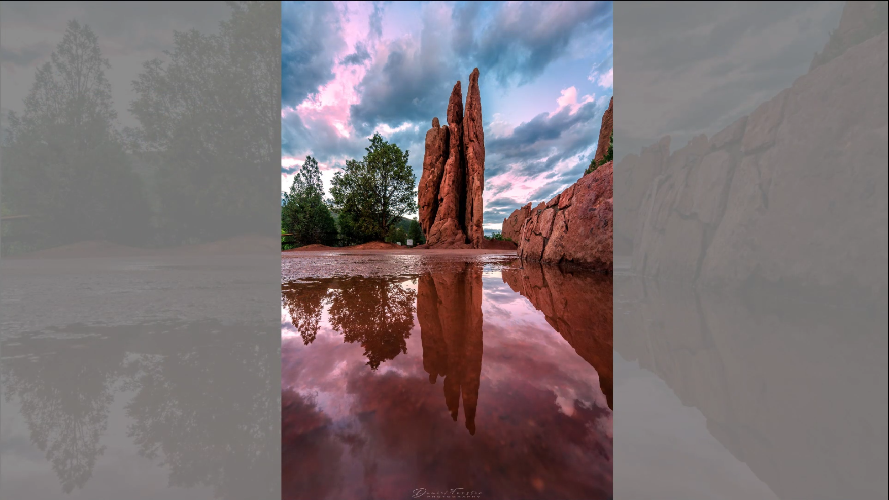 Daniel Forster Garden of the Gods
