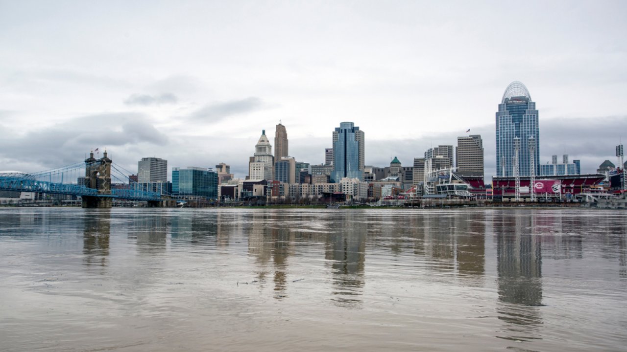 A storm-damaged tree in Kentucky