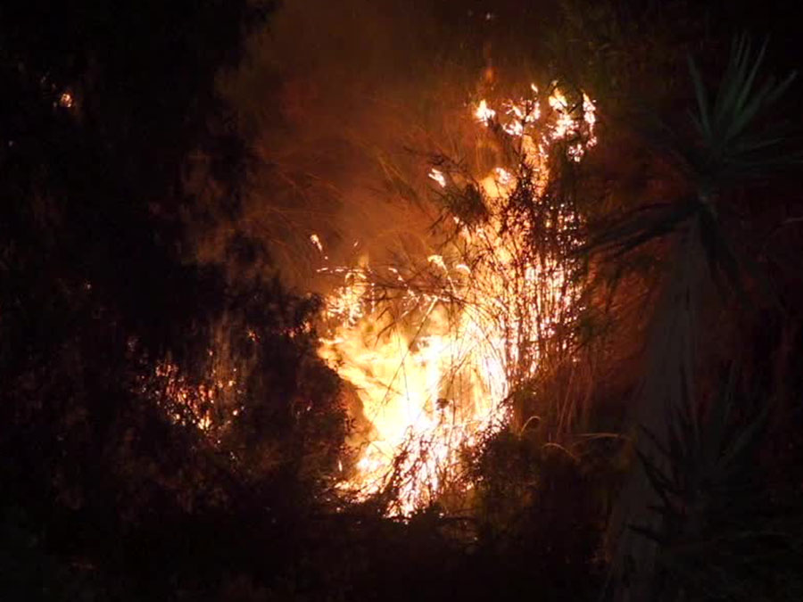 city_heights_homeless_fire_030910.jpg