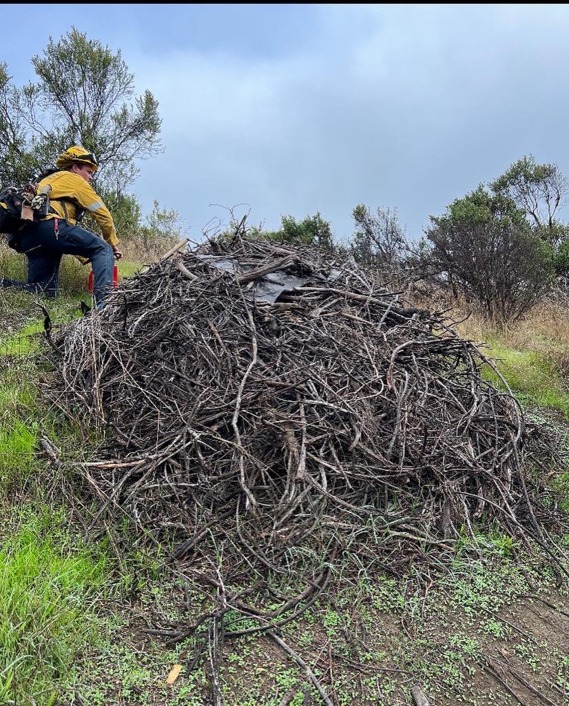 PILE BURNING COURTESY CAL FIRE.jpg