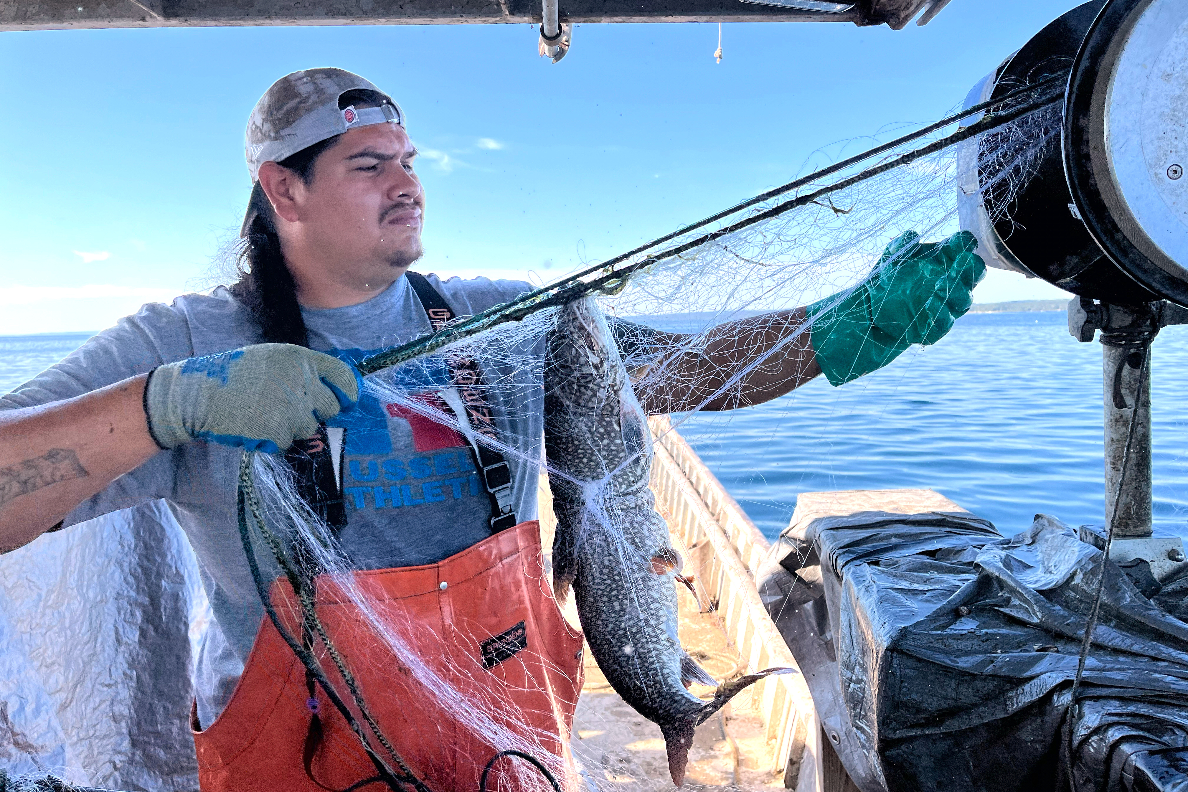 Whitefish Decline Fishing