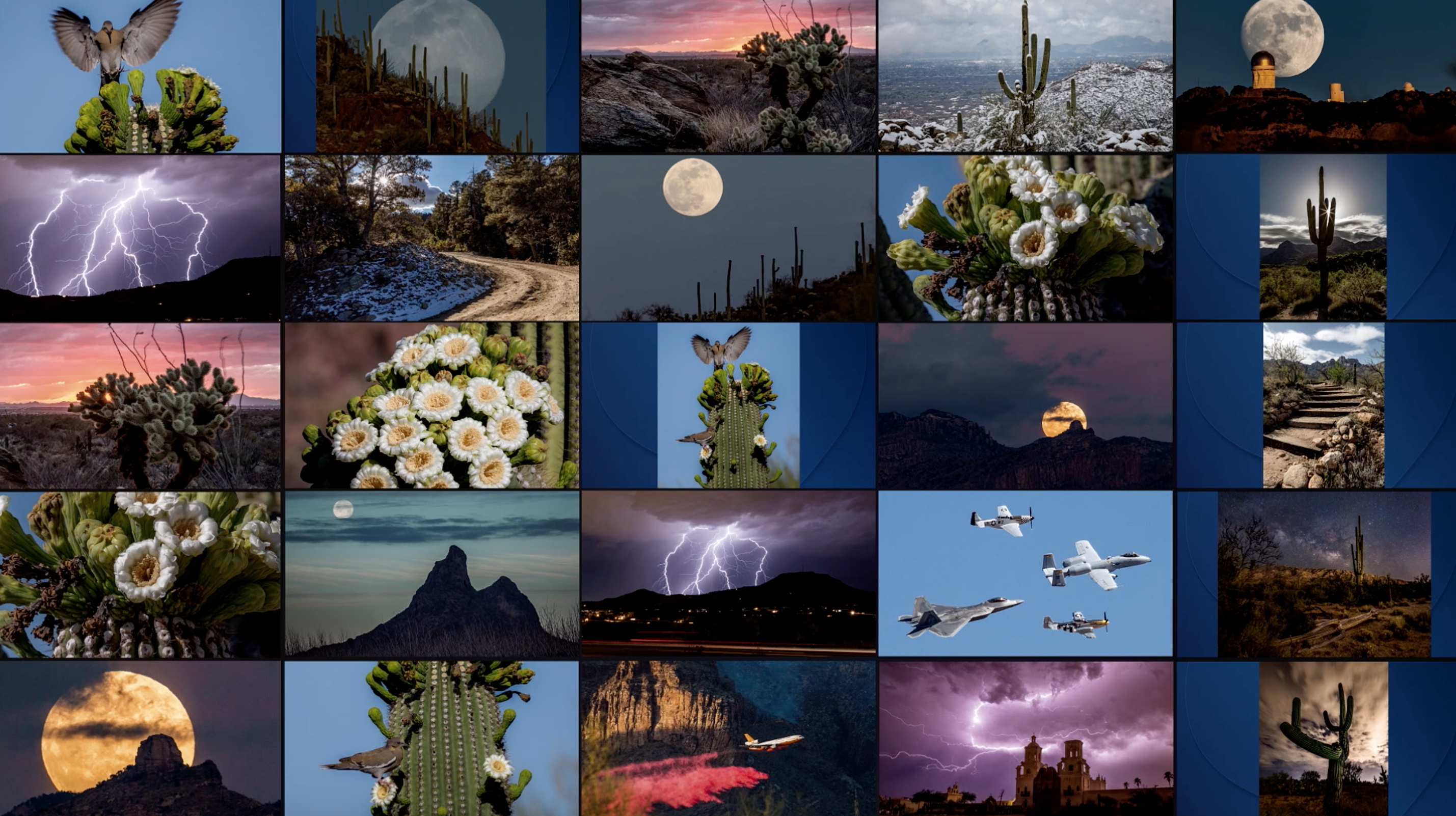 Bob Tenor's photographs