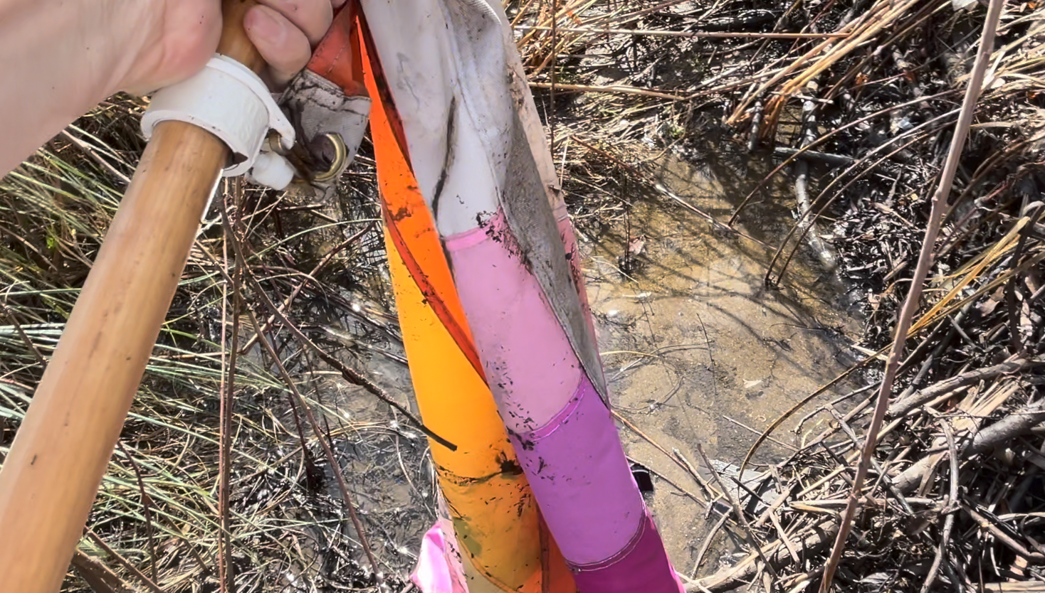 Viewer tip leads to recovery of stolen Pride flag in Santee