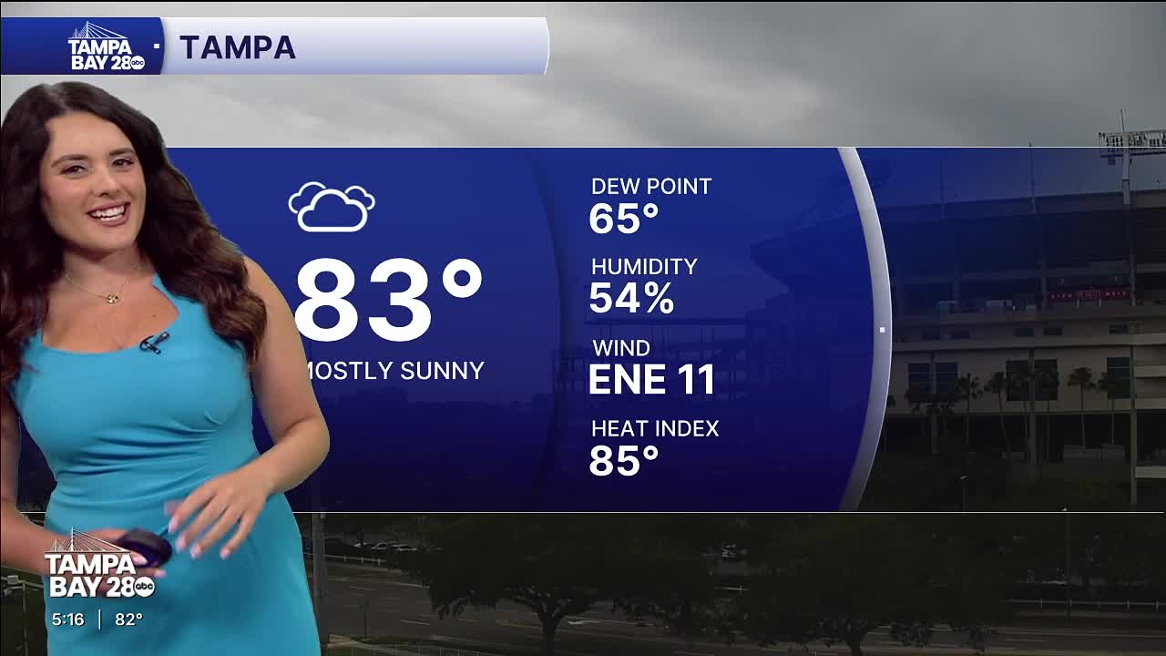 6.3 pm forecast
