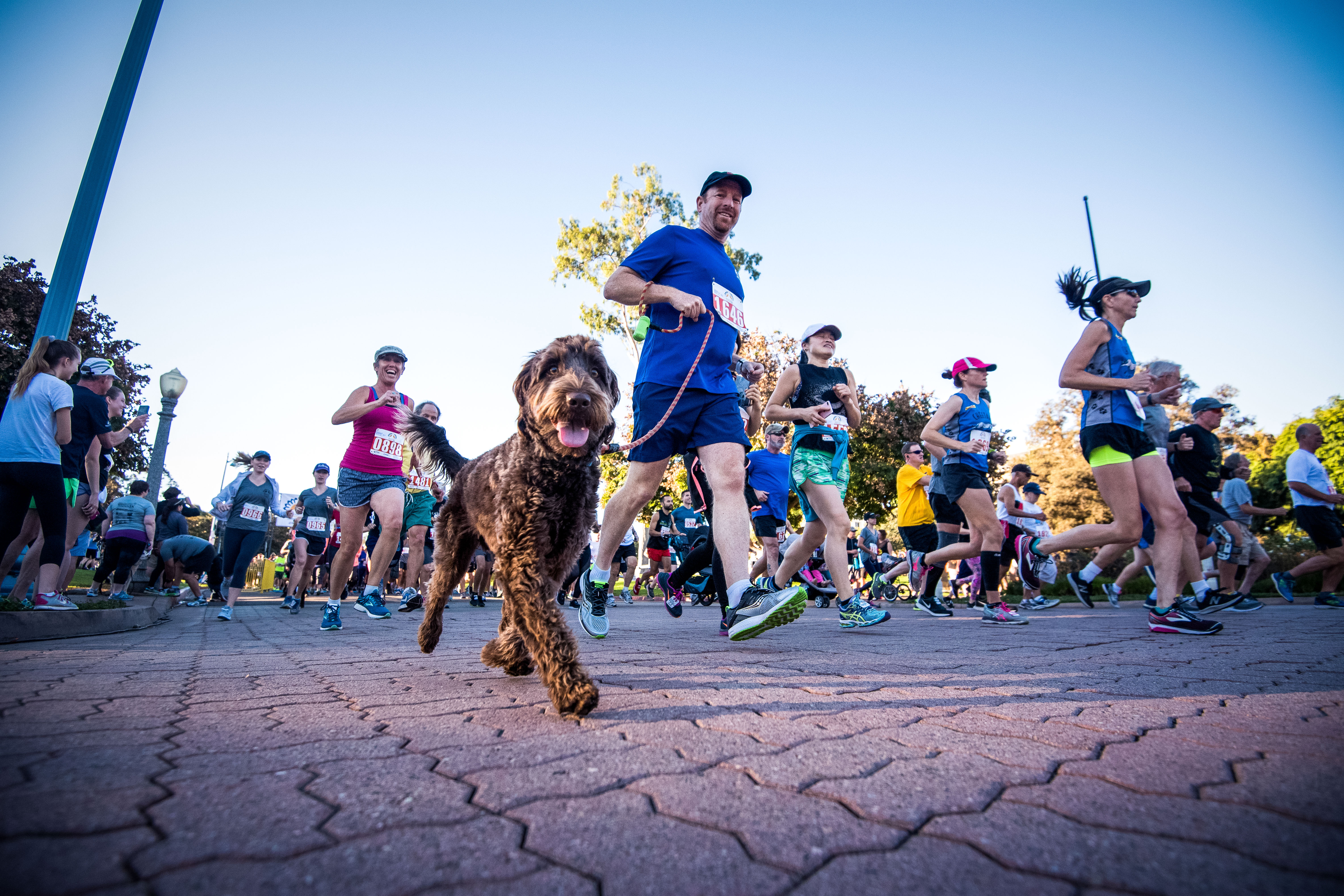 Father Joes Villages Annual Thanksgiving 5K_4.jpg