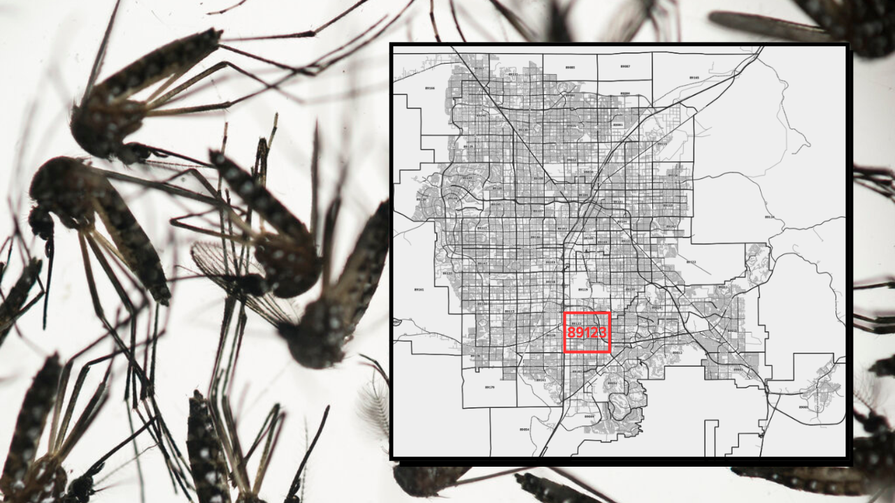 Mosquito WNV 89123