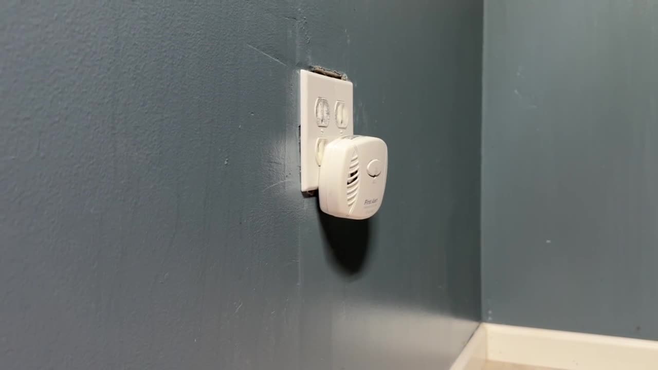 Carbon Monoxide Detector