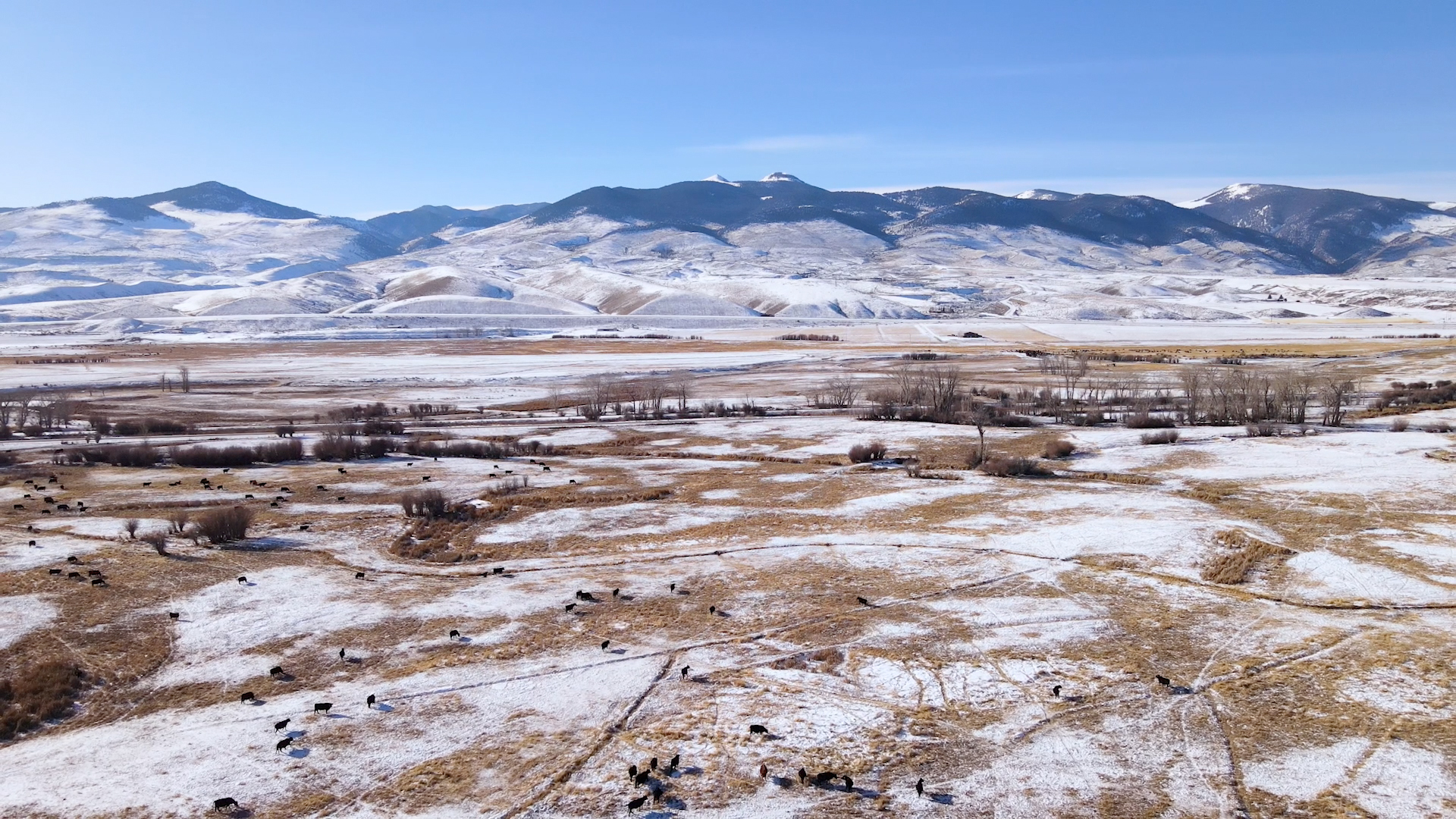 cloud seeding mt ag 1.jpg