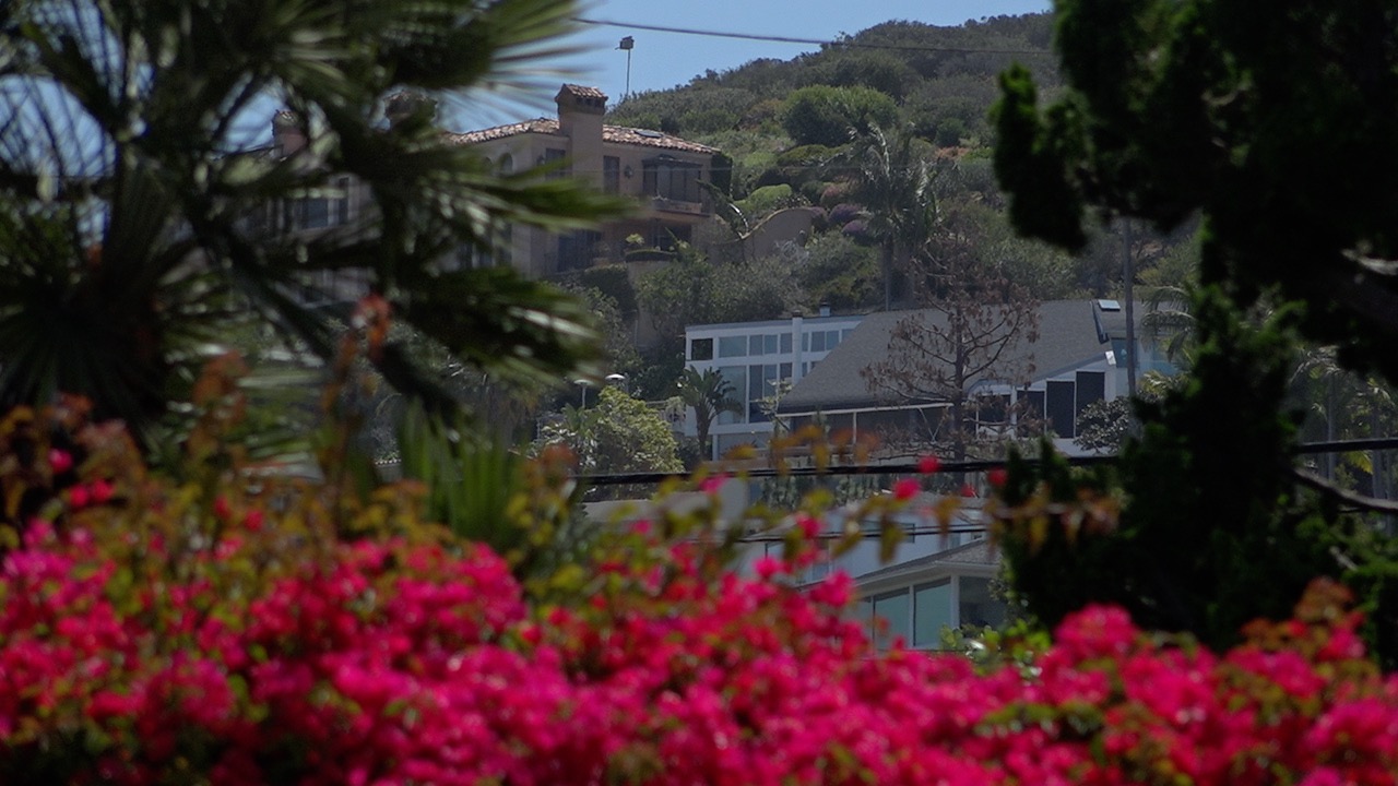 La jolla homes.jpg