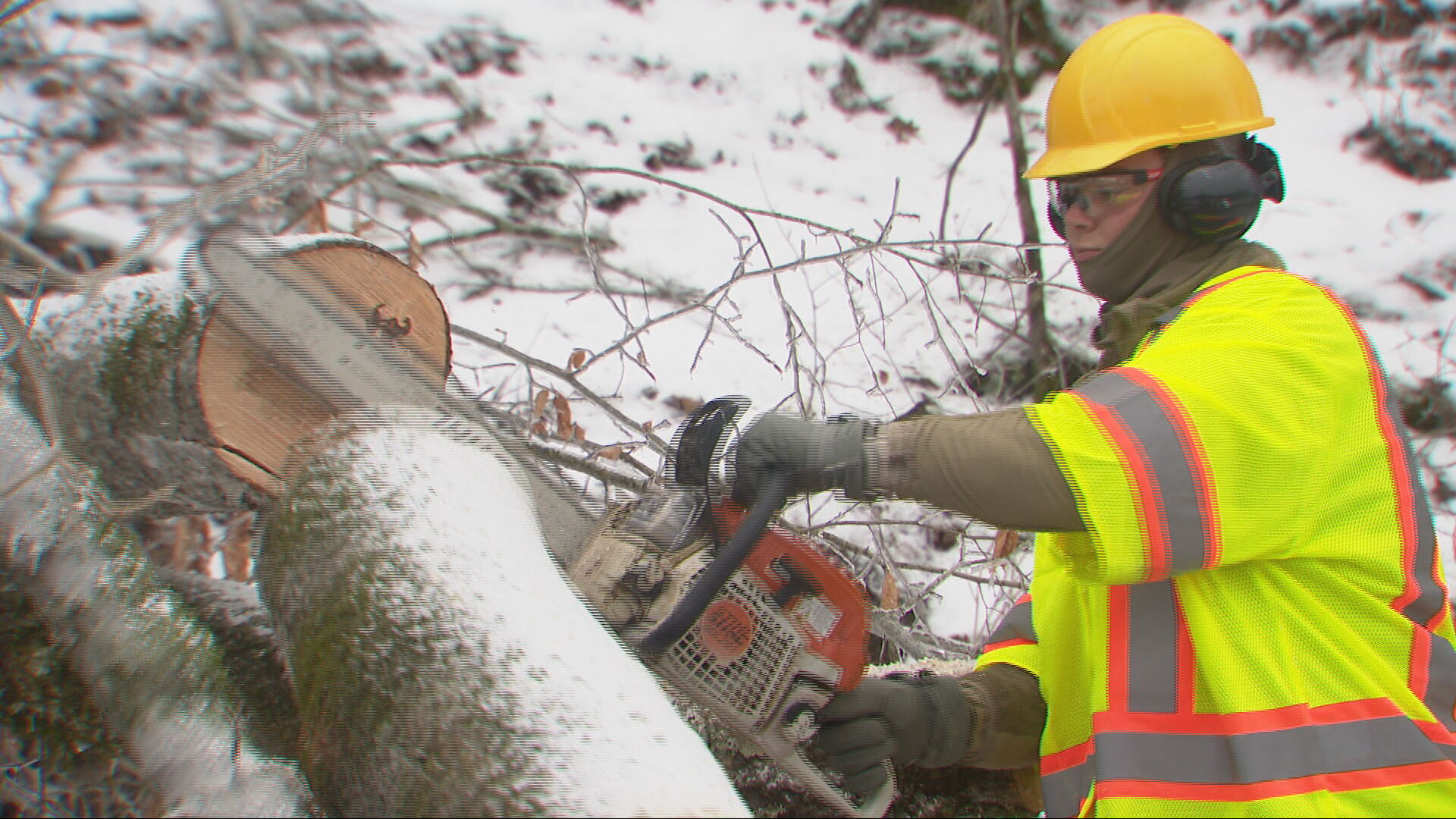 National Guard members in Davidson County