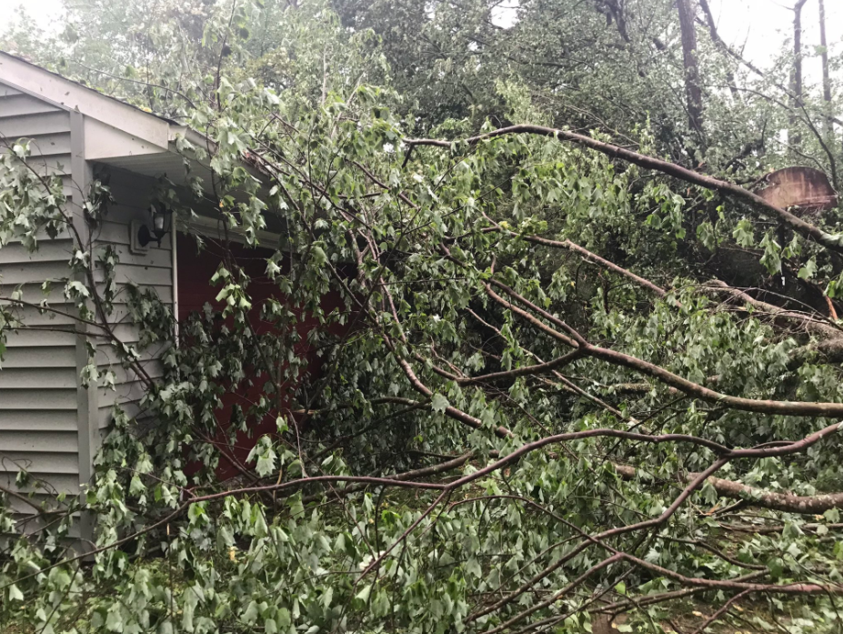 Second Possible Tornado in NNK Katie Dixon 2.png