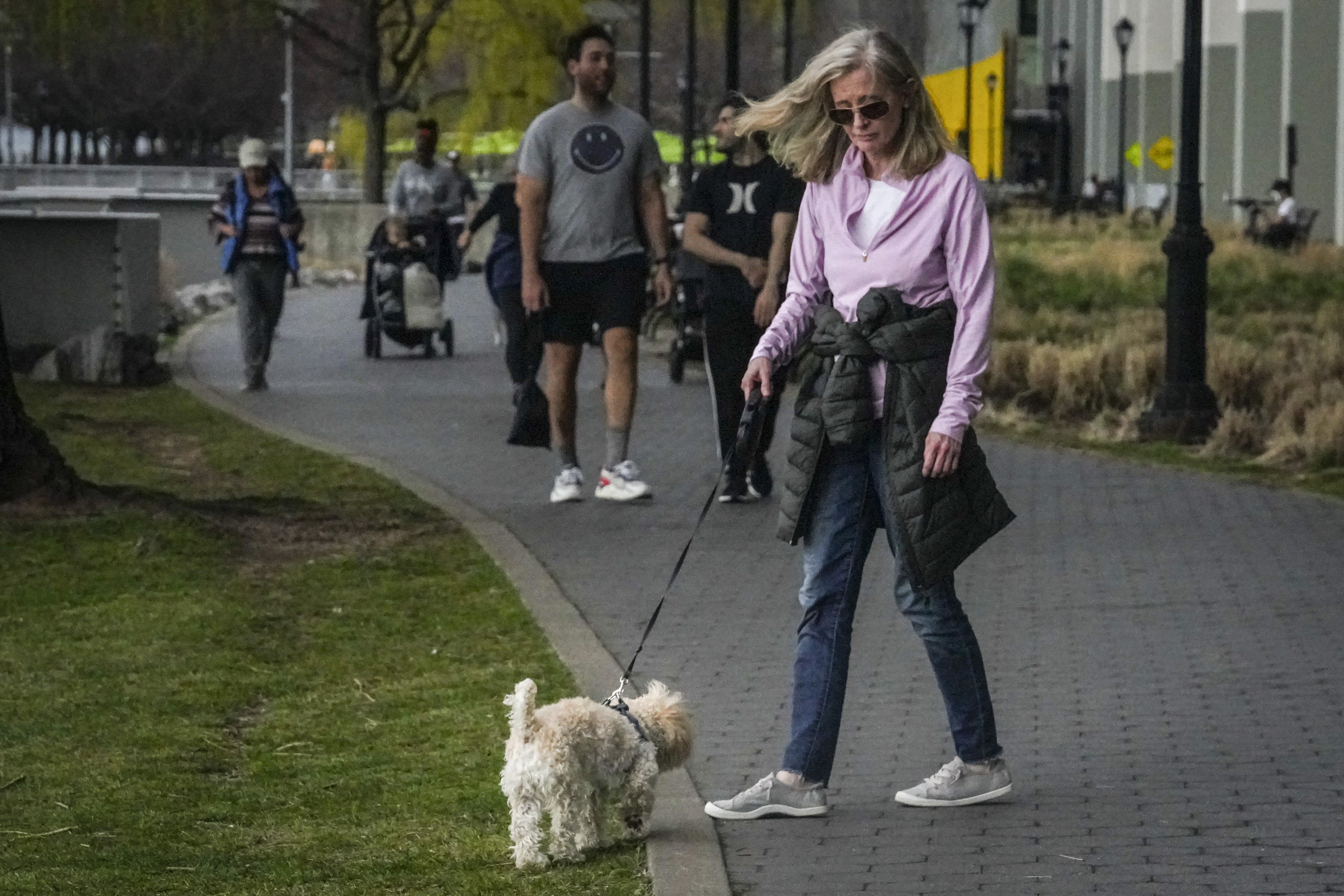 Marijuana-Dog Poisonings