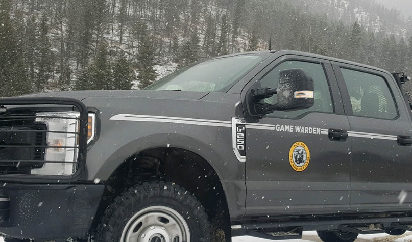 Game Wardens seek information on poached elk in Musselshell County - Vimarsana News