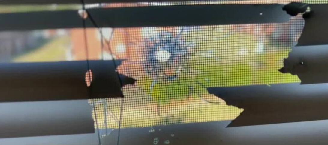 Richmond mother says young son tackled little sister to keep bullet from striking her inside home
