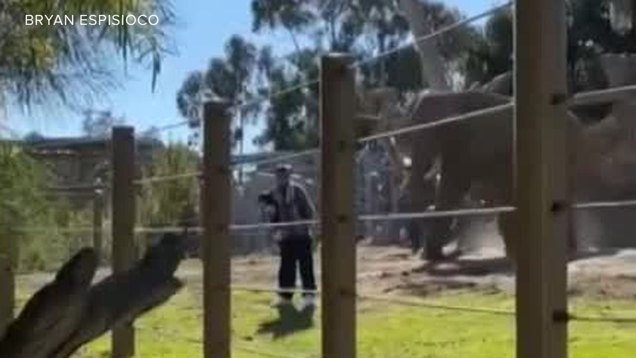 Elephant charges man and child at zoo.