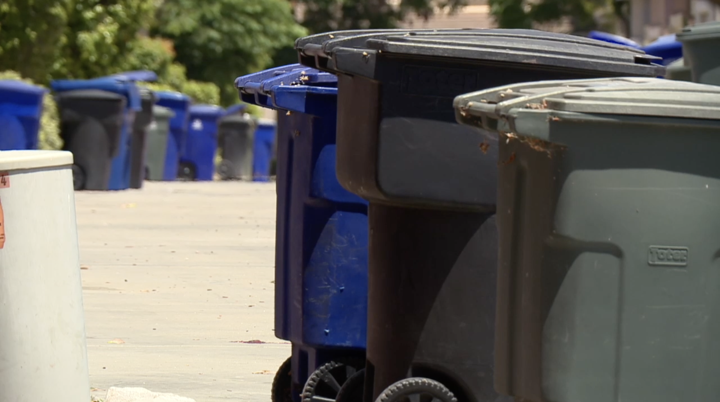 Trash pickup halted in parts of San Diego County as workers honor strike