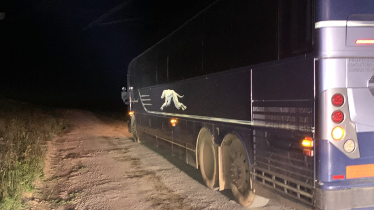 greyhound bus.png