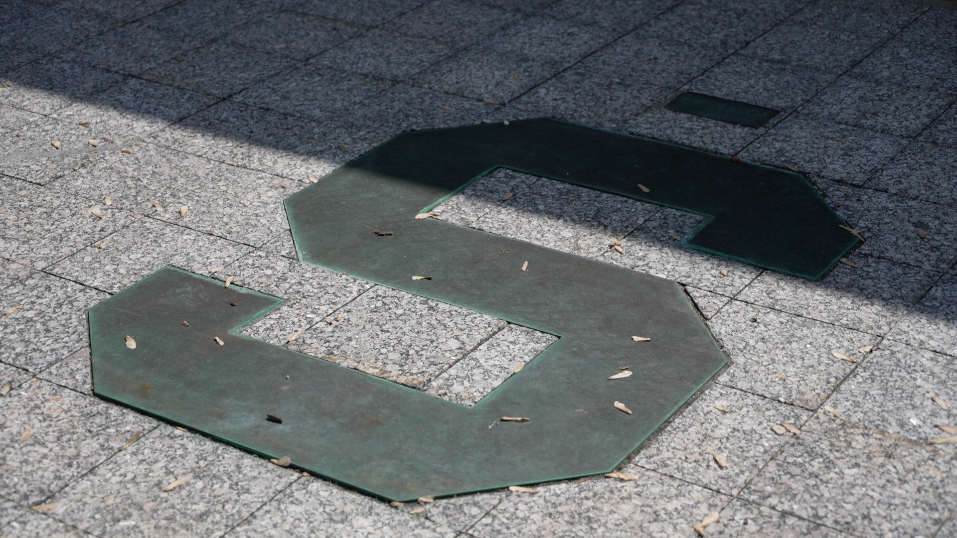 S sign of MSU.jpg