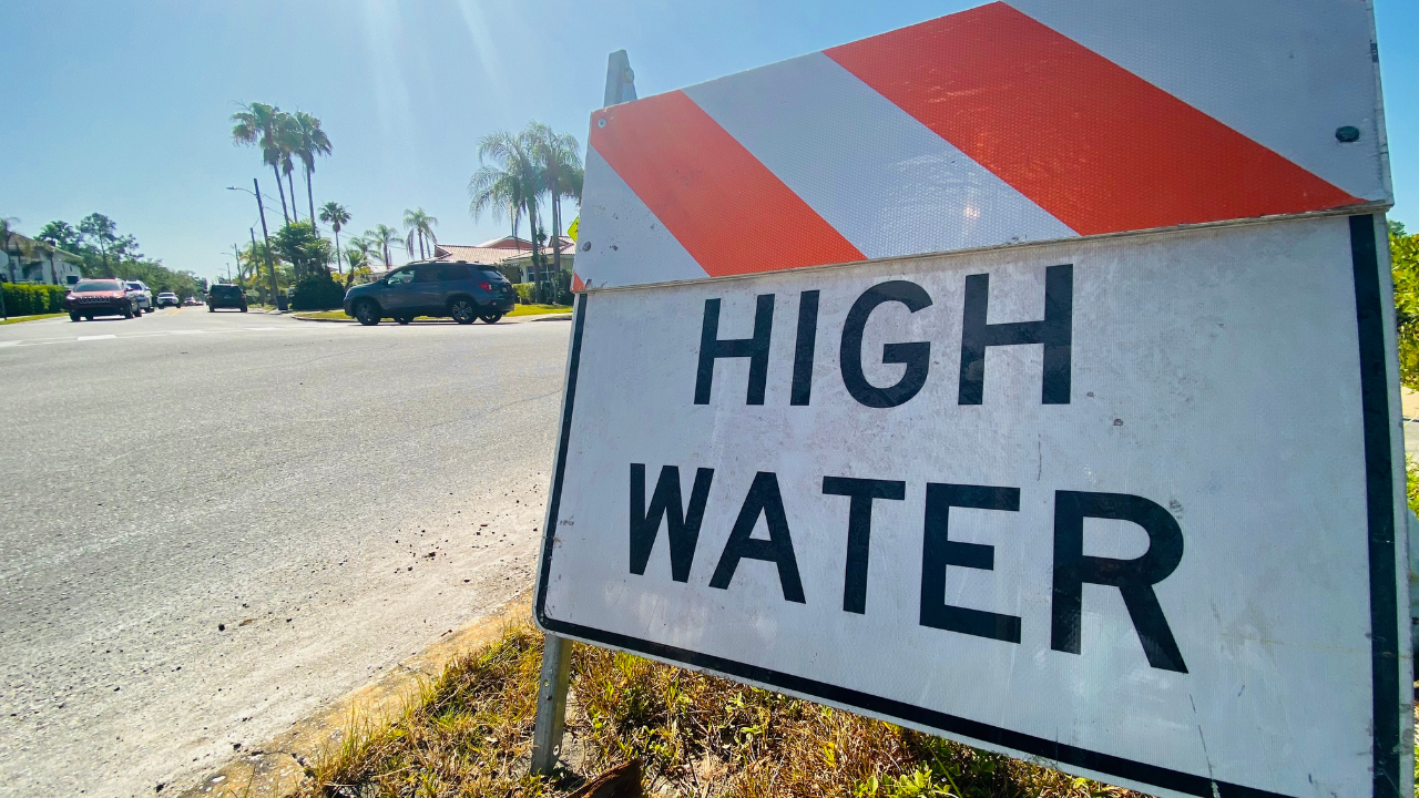 Tarpon Springs flooding WFTS.png