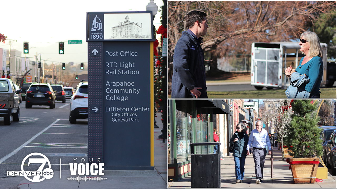 Littleton Your Voice.jpg