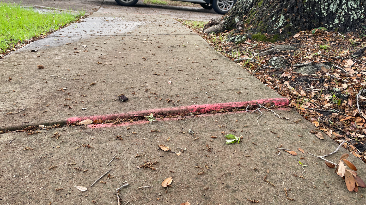 Clearwater sidewalk fix Larissa Scott WFTS.png