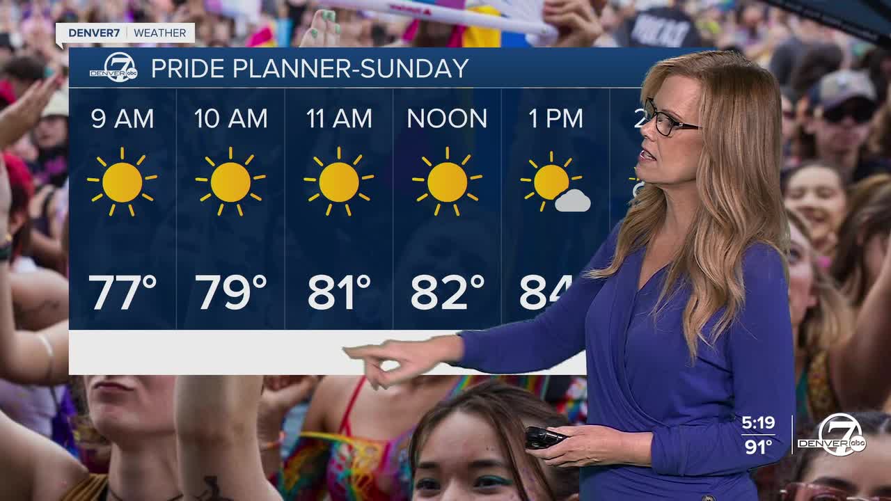 Pride planner for Sunday