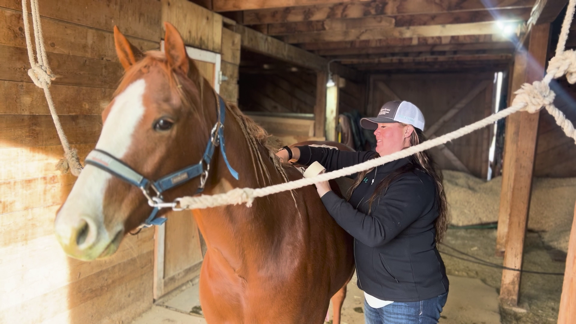 TOPP Equine Services healing horses in Stanford