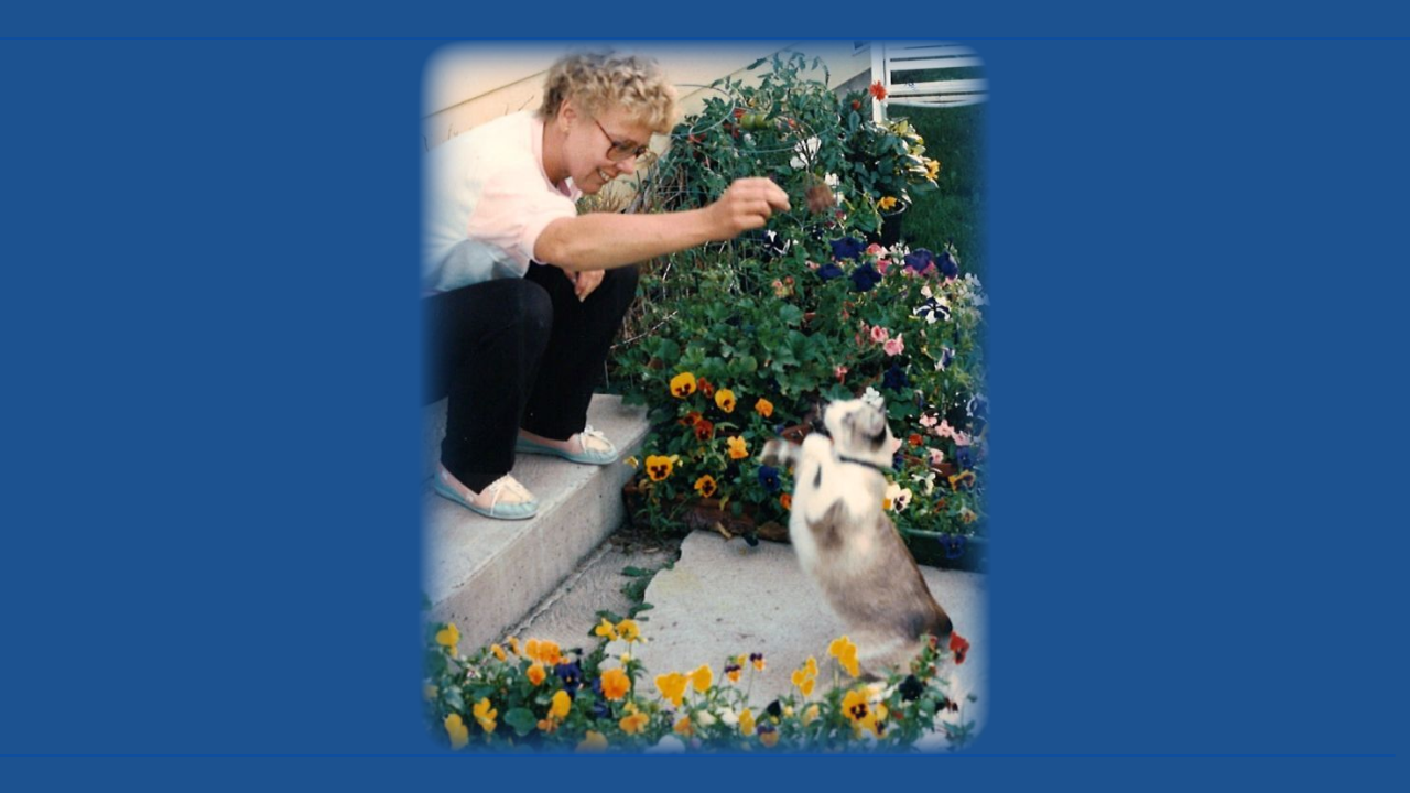 Nancy Caroline Wilson
June 25, 1948 ~ March 15, 2026