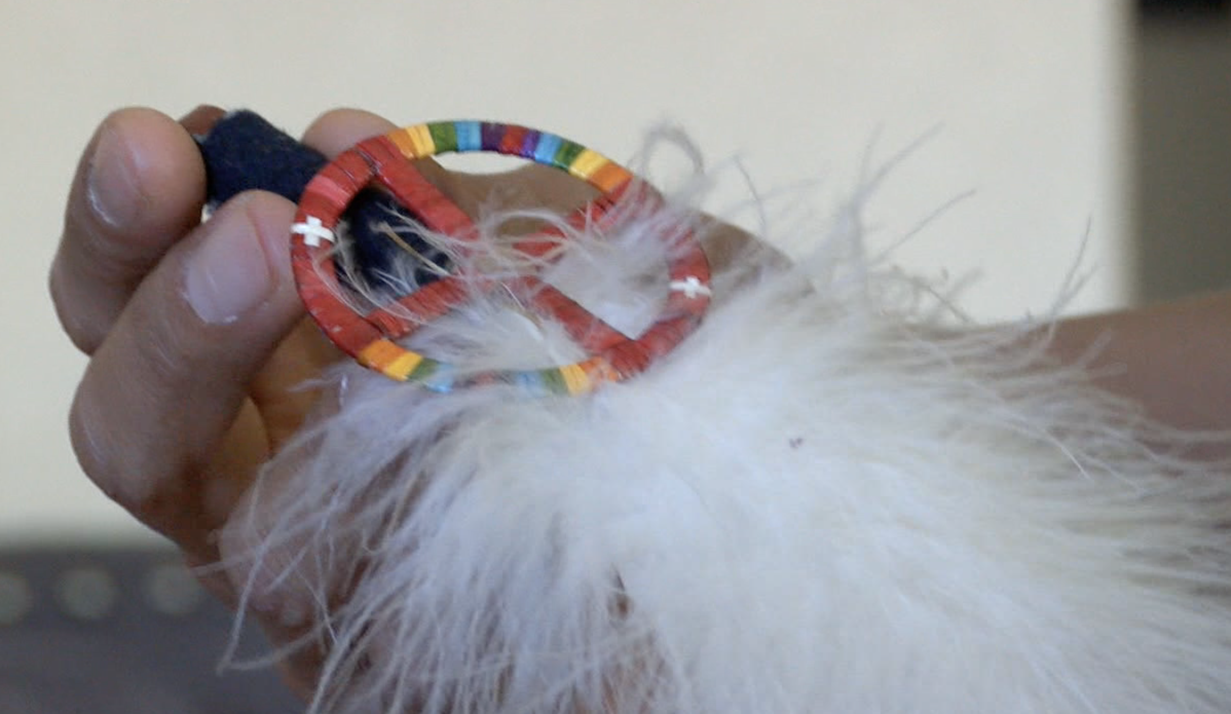 Cultural, tribal regalia 