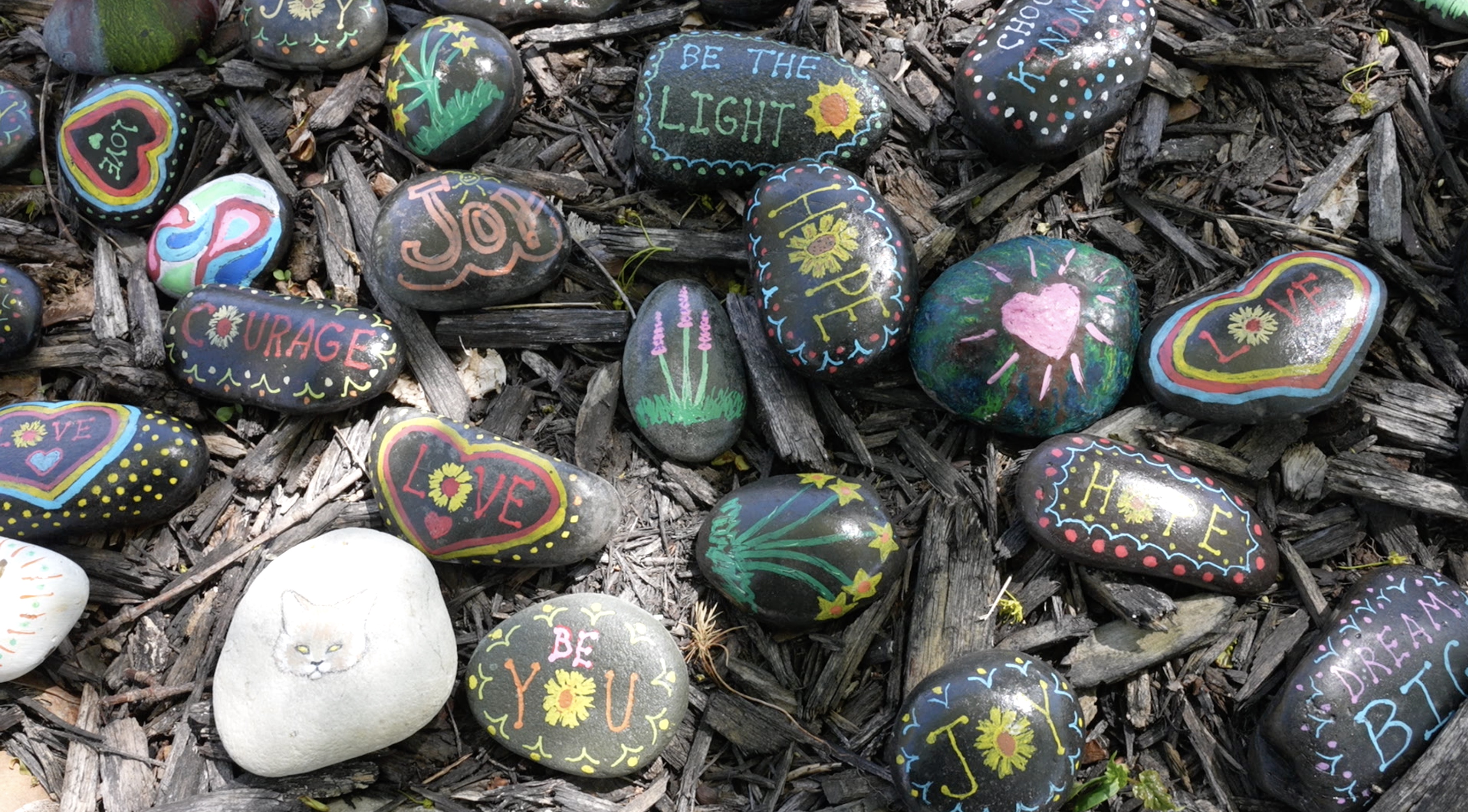 Kindness rocks 