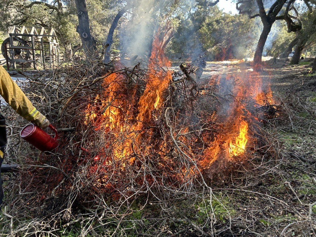 pile burning cal fire.png