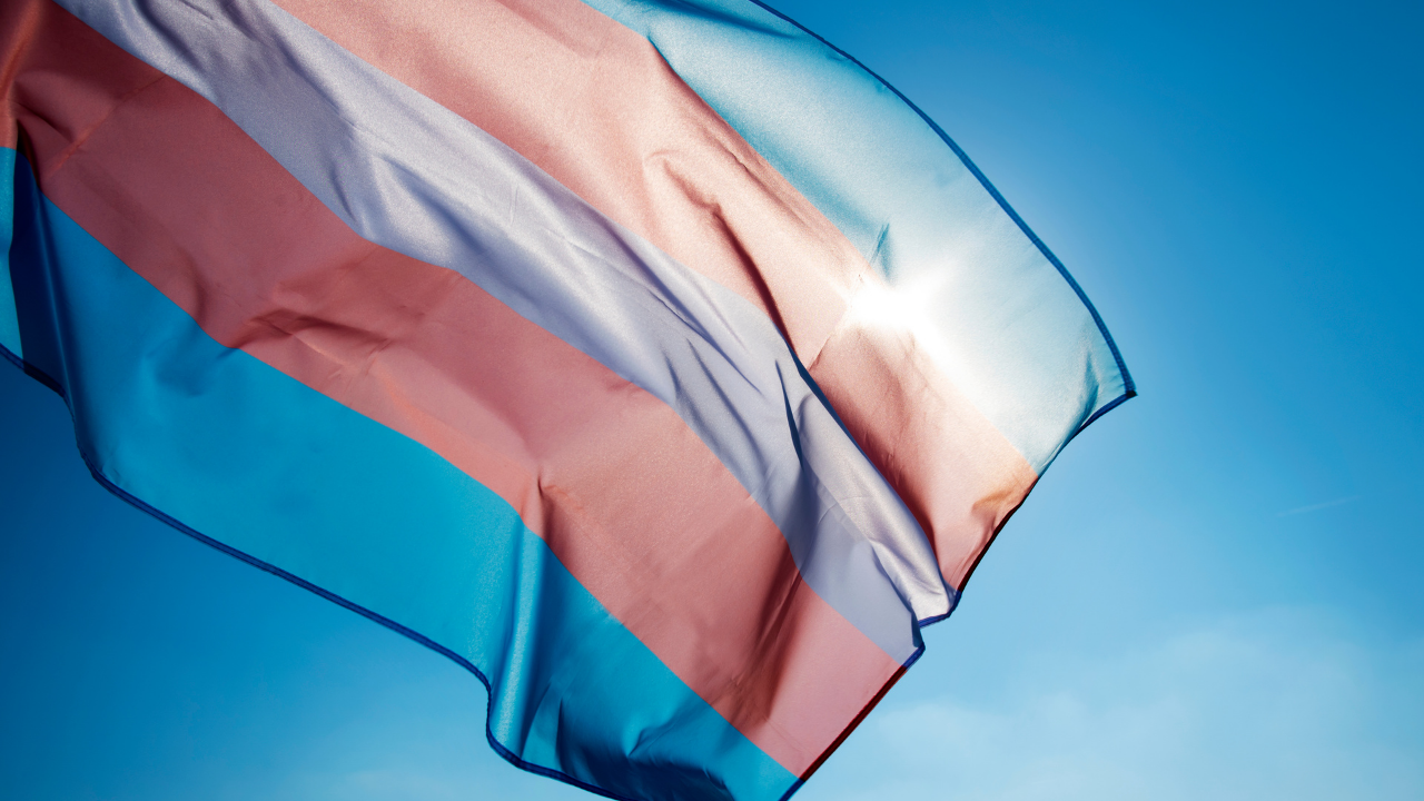 transgender flag Canva.png