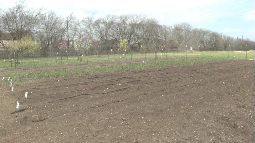 Screenshot 2024-03-05 at 3.02.47 PM.png