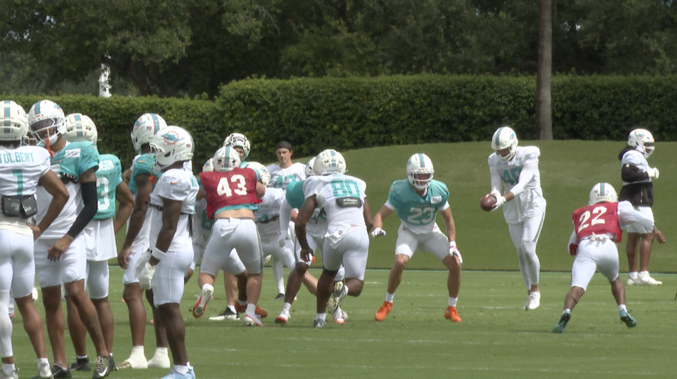 Miami Dolphins 