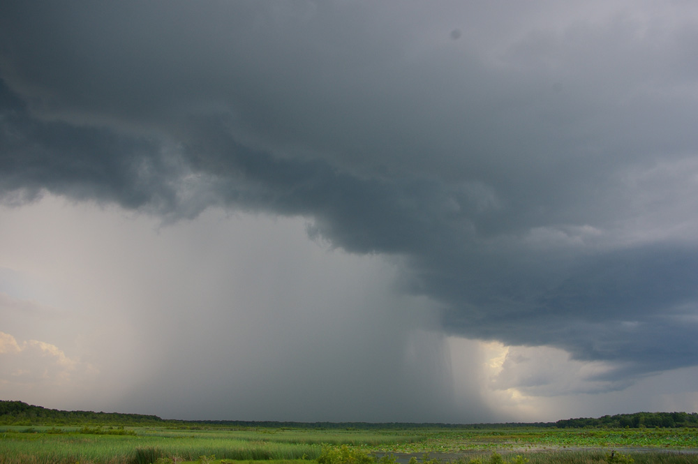 tropical thundershower.jpg