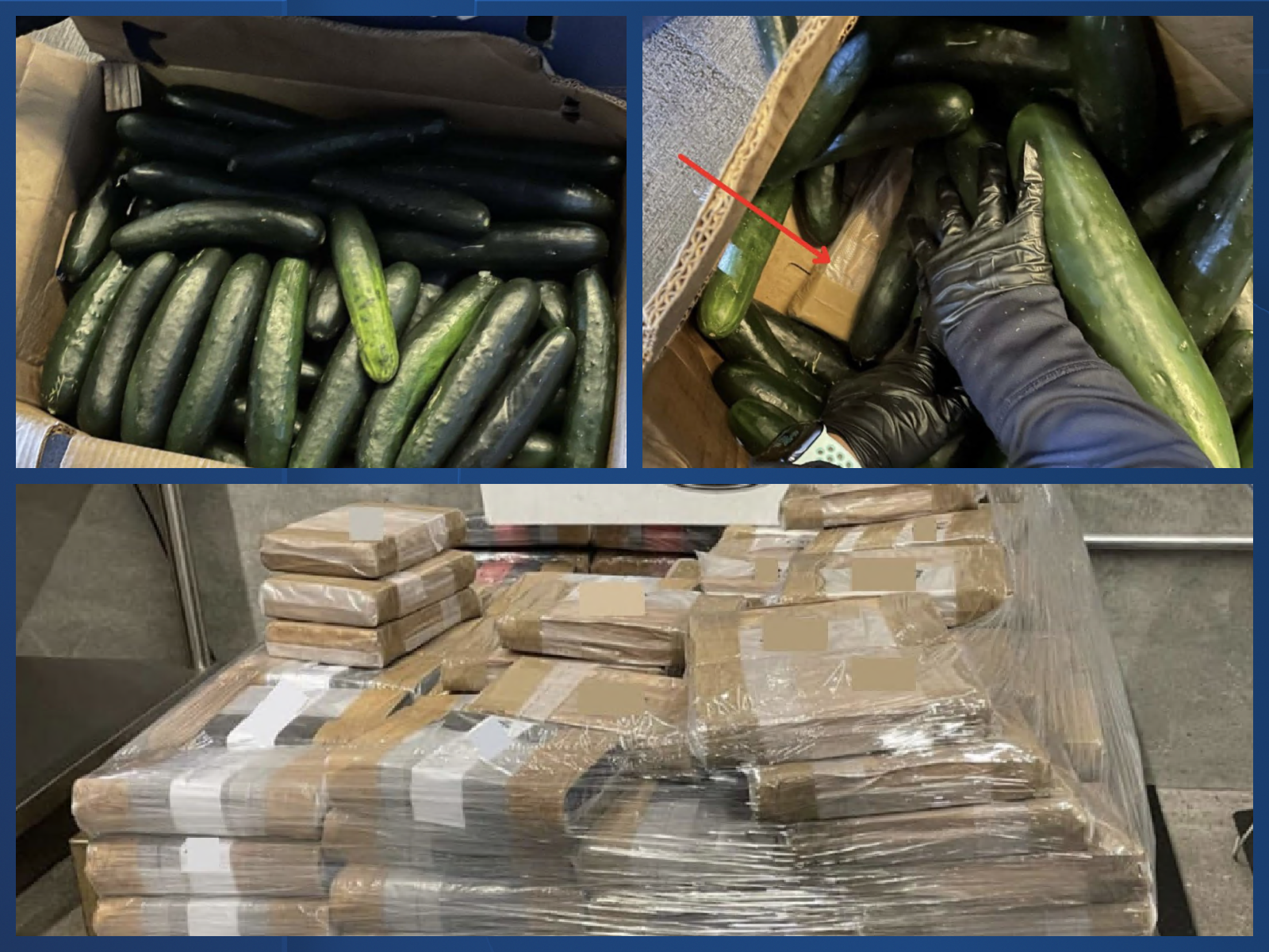 Cucumber drug bust.png