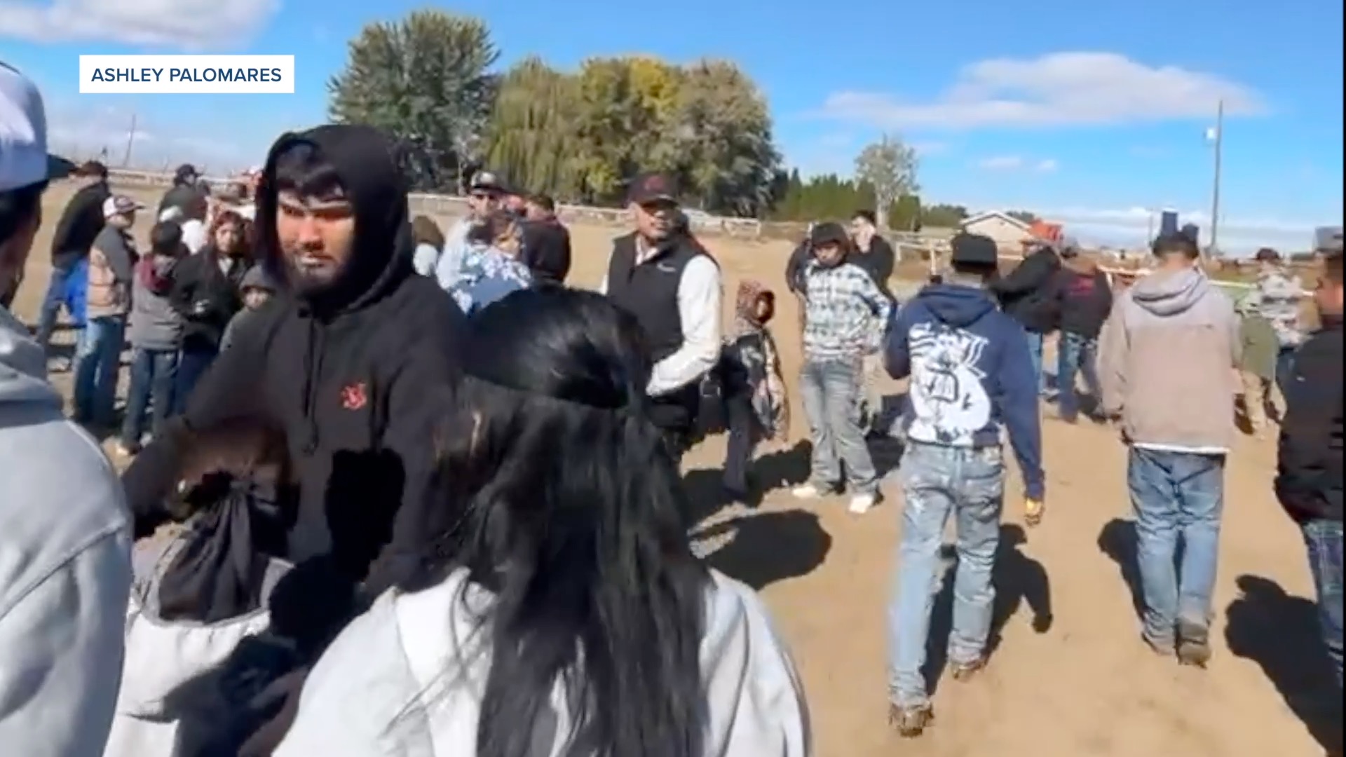 WILDER HORSE RACETRACK RAID 