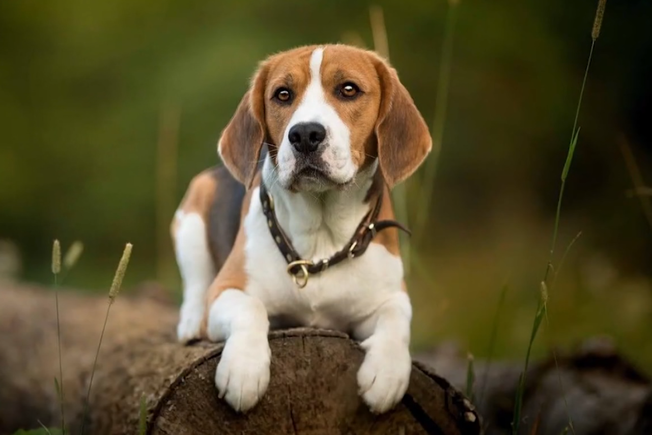 Screenshot 2026-03-25 162555.png