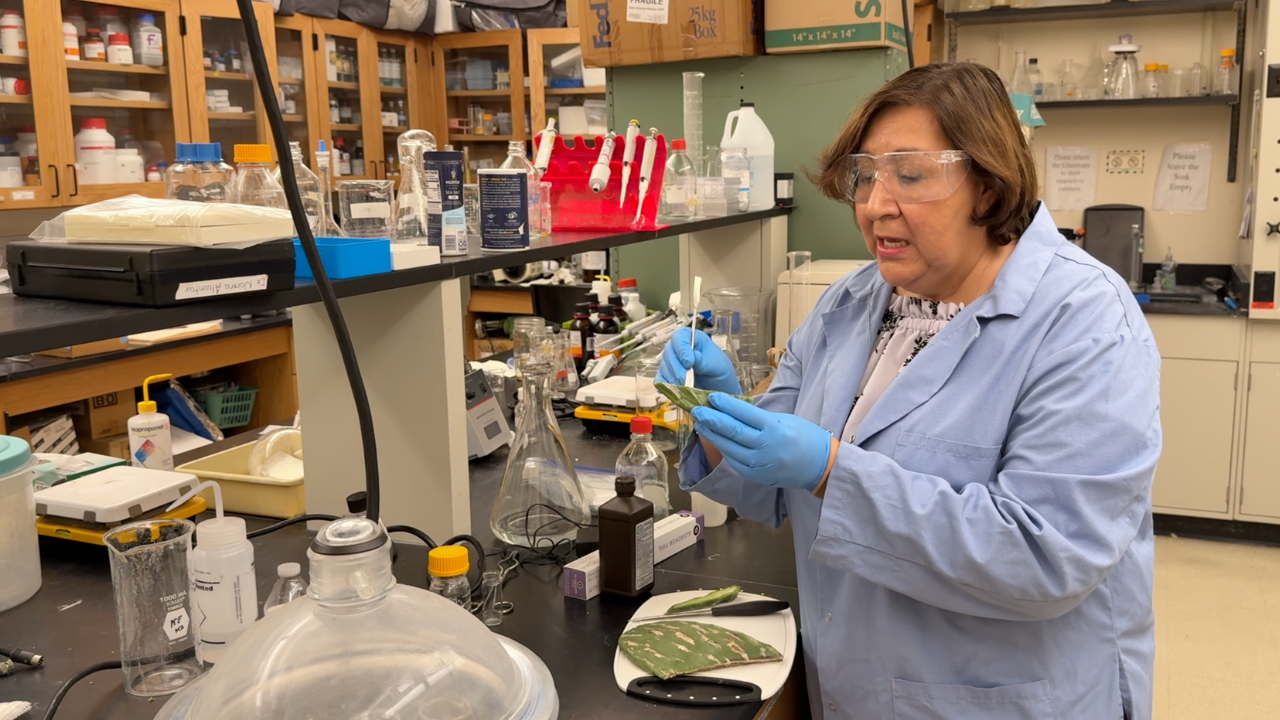 USF doctor's upbringing to propel her research into water purification