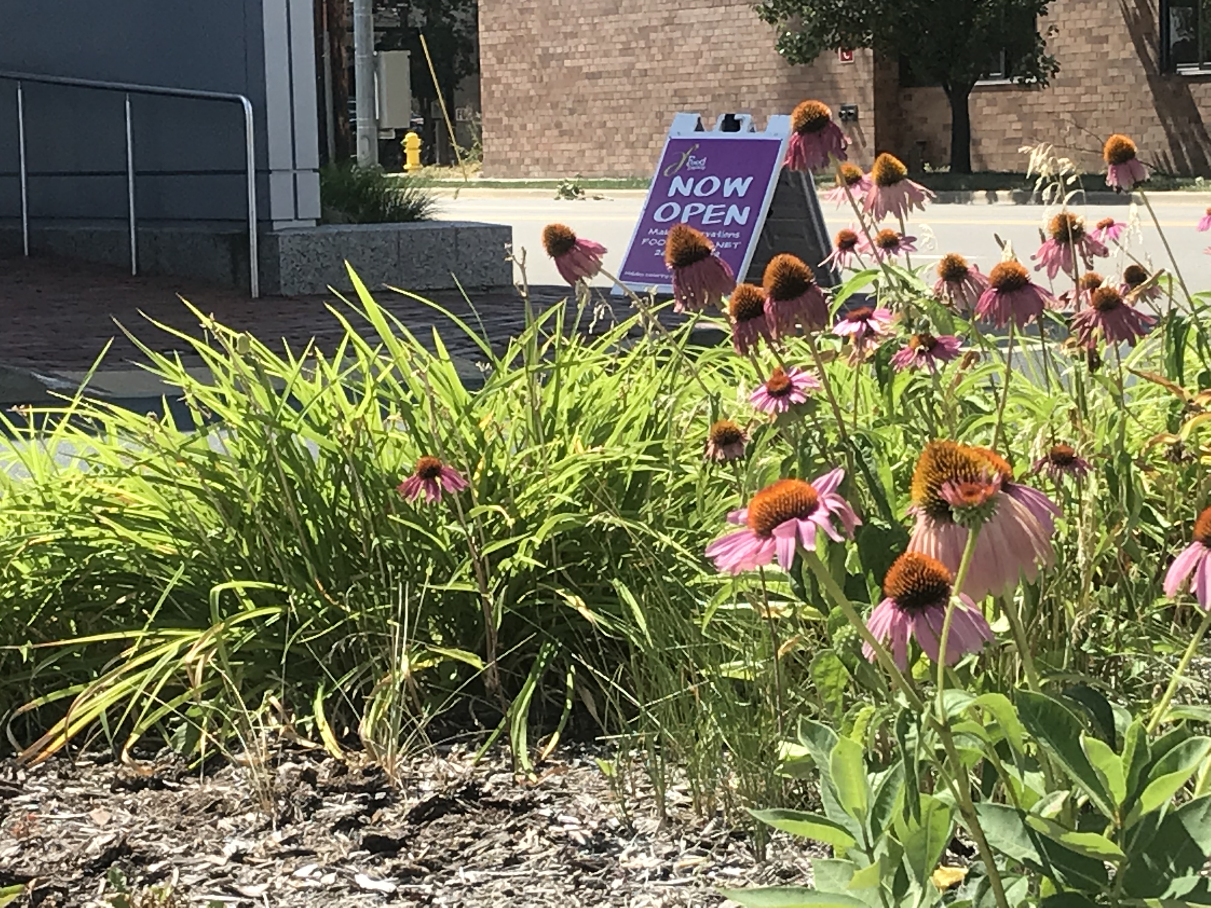 Food Dance reopens.jpg