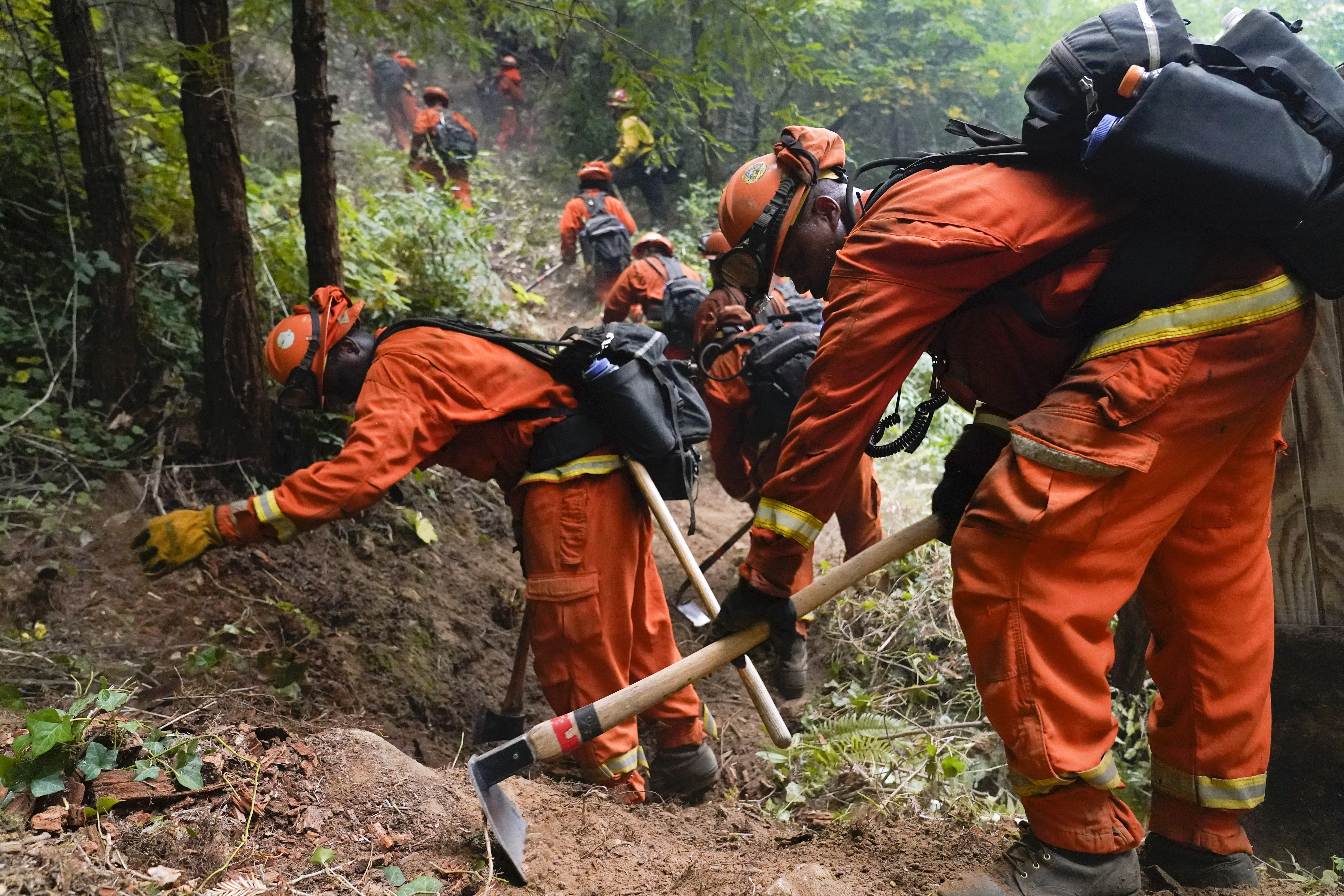 California Firefighters