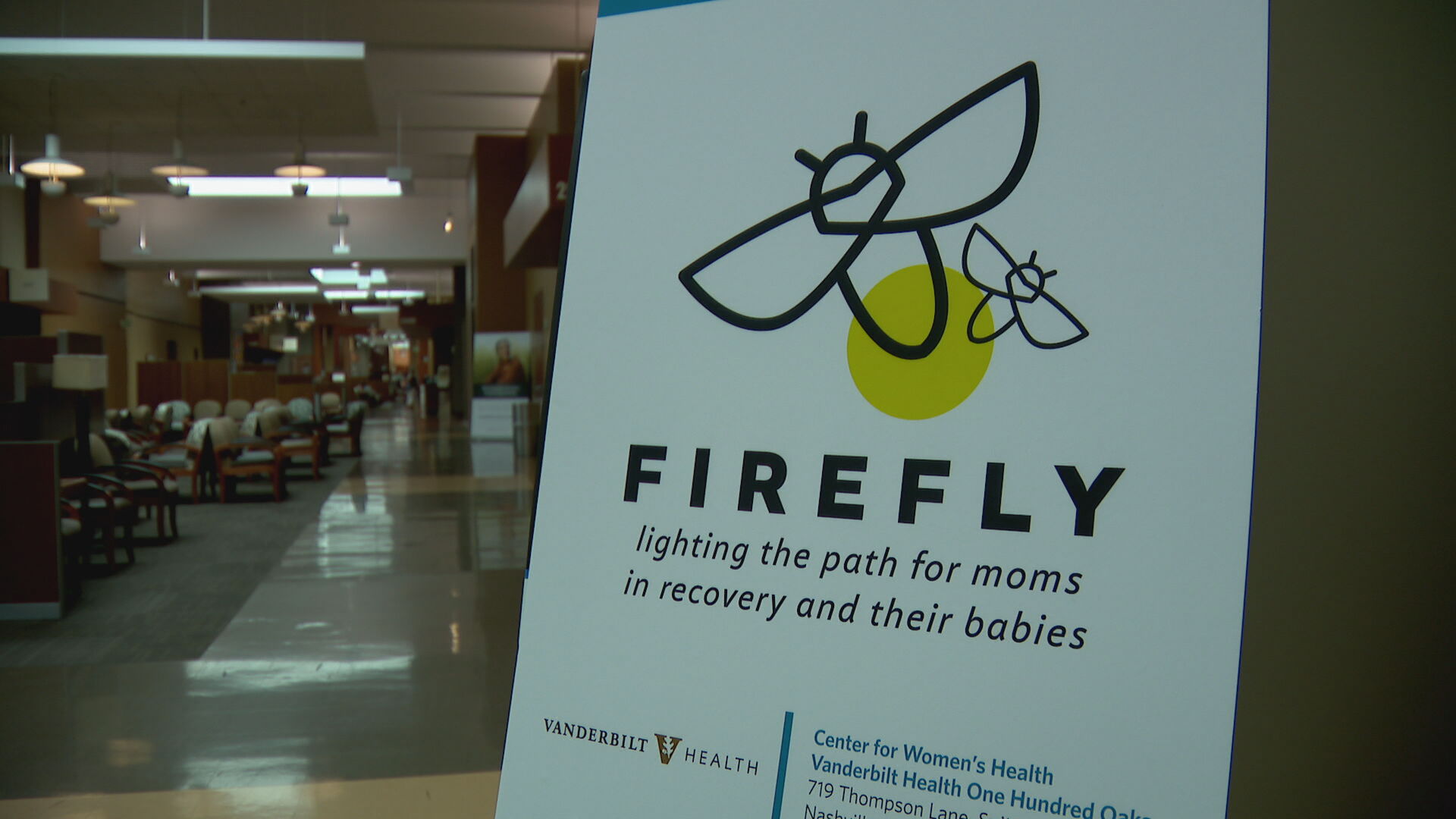 Firefly program