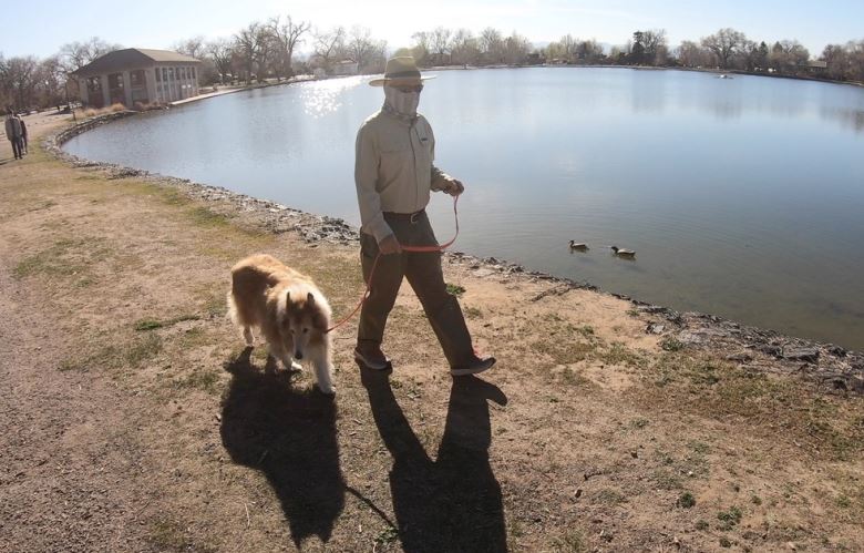 web pet social distancing.JPG