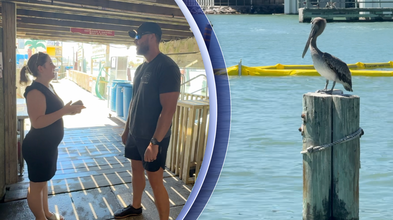 Local fishermen concerned about change to FWC fishing license accessibility